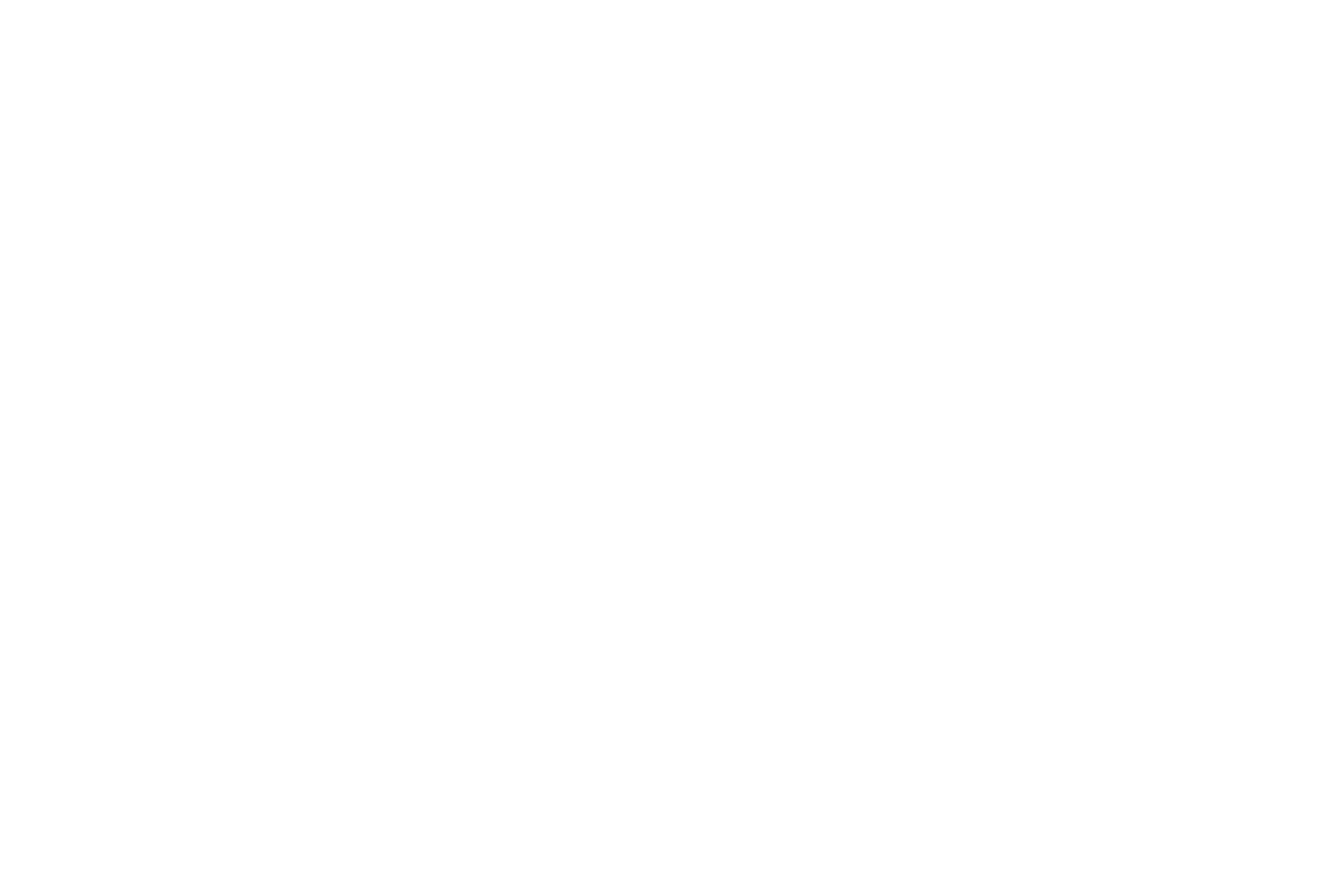 Rhiza Babuyile white logo